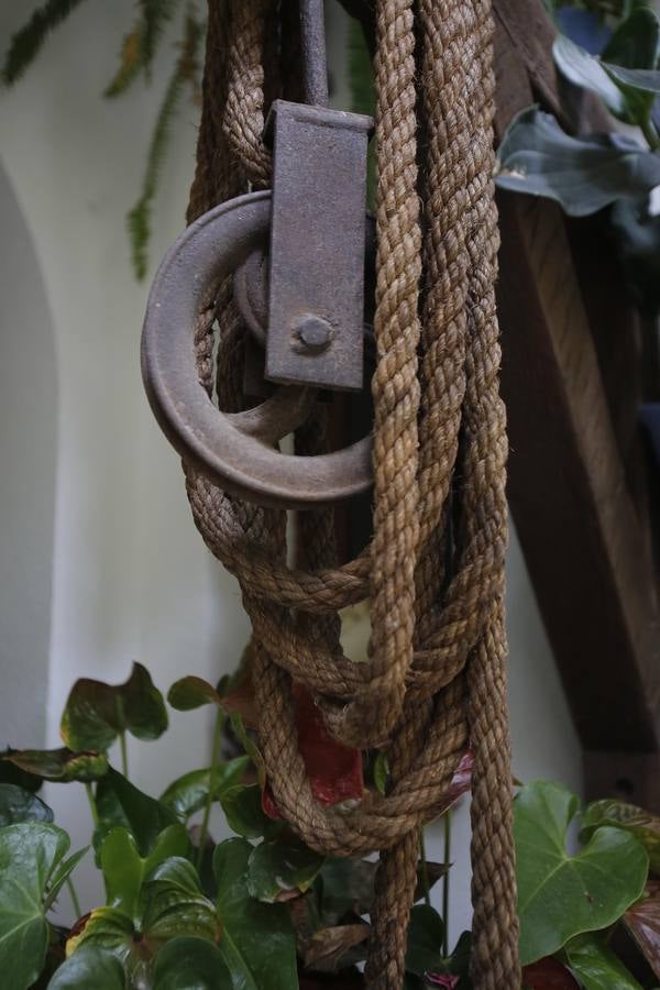 Los últimos sorbos de los Patios de Córdoba en San Basilio, en imágenes