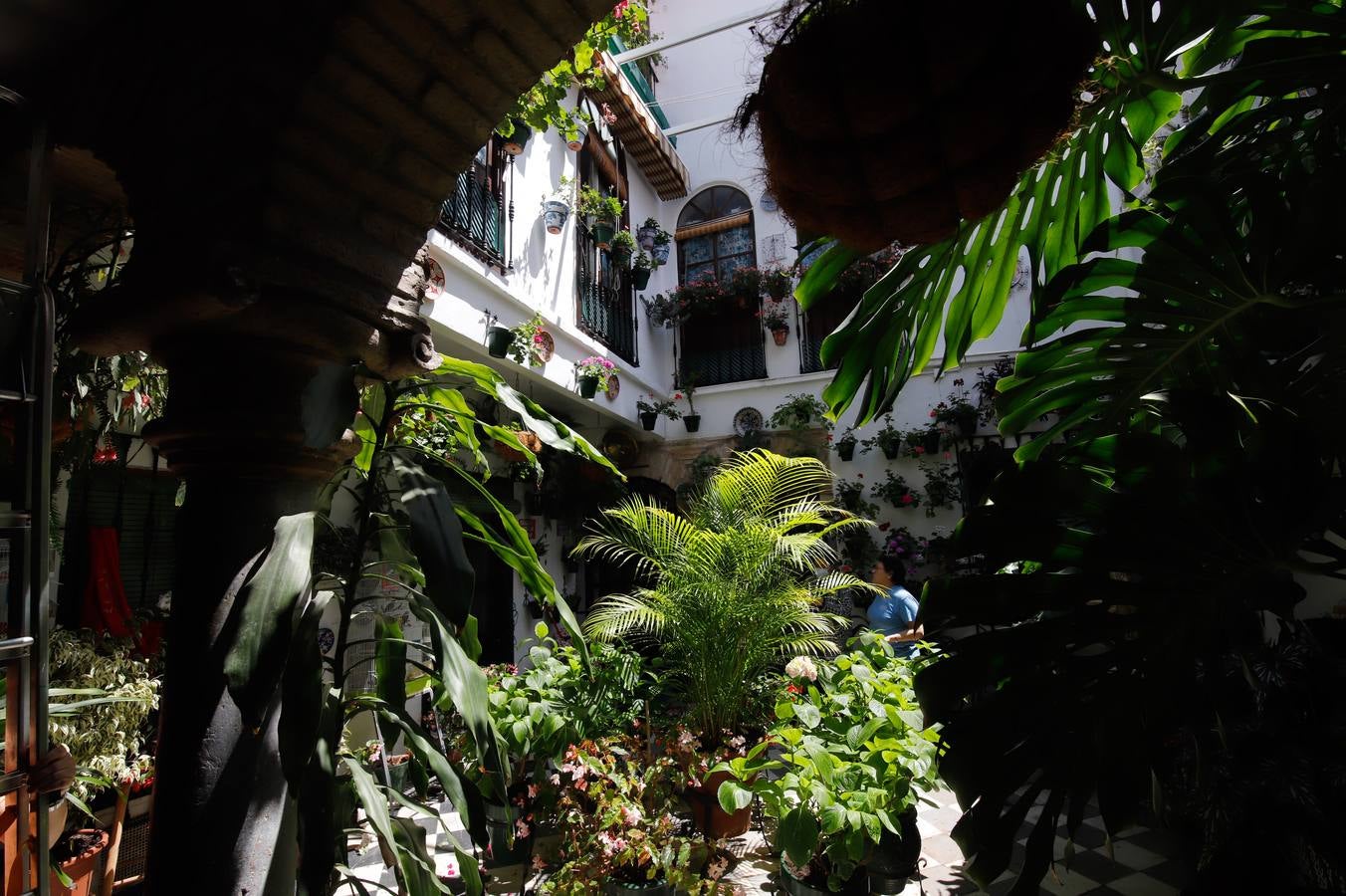 El patio de la calle Céspedes, 10, en imágenes