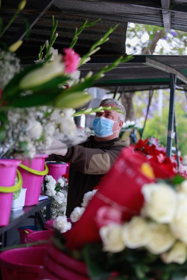 En imágenes, asistencia al cementerio de Sevilla aprovechando la nueva fase