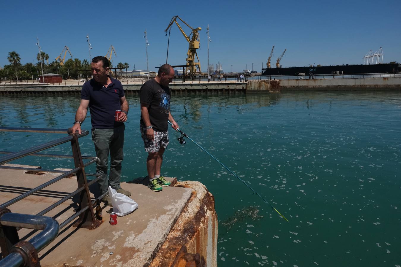 FOTOS: Día a día en Cádiz, en la Fase 1 de la desescalada