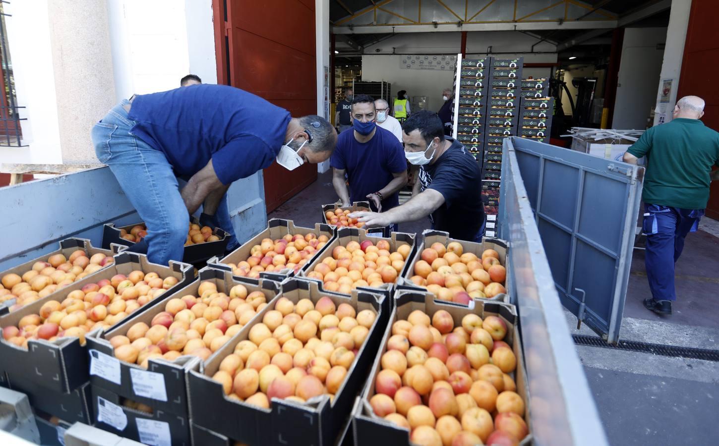 La donación de siete toneladas al Banco de Alimentos de Córdoba, en imágenes