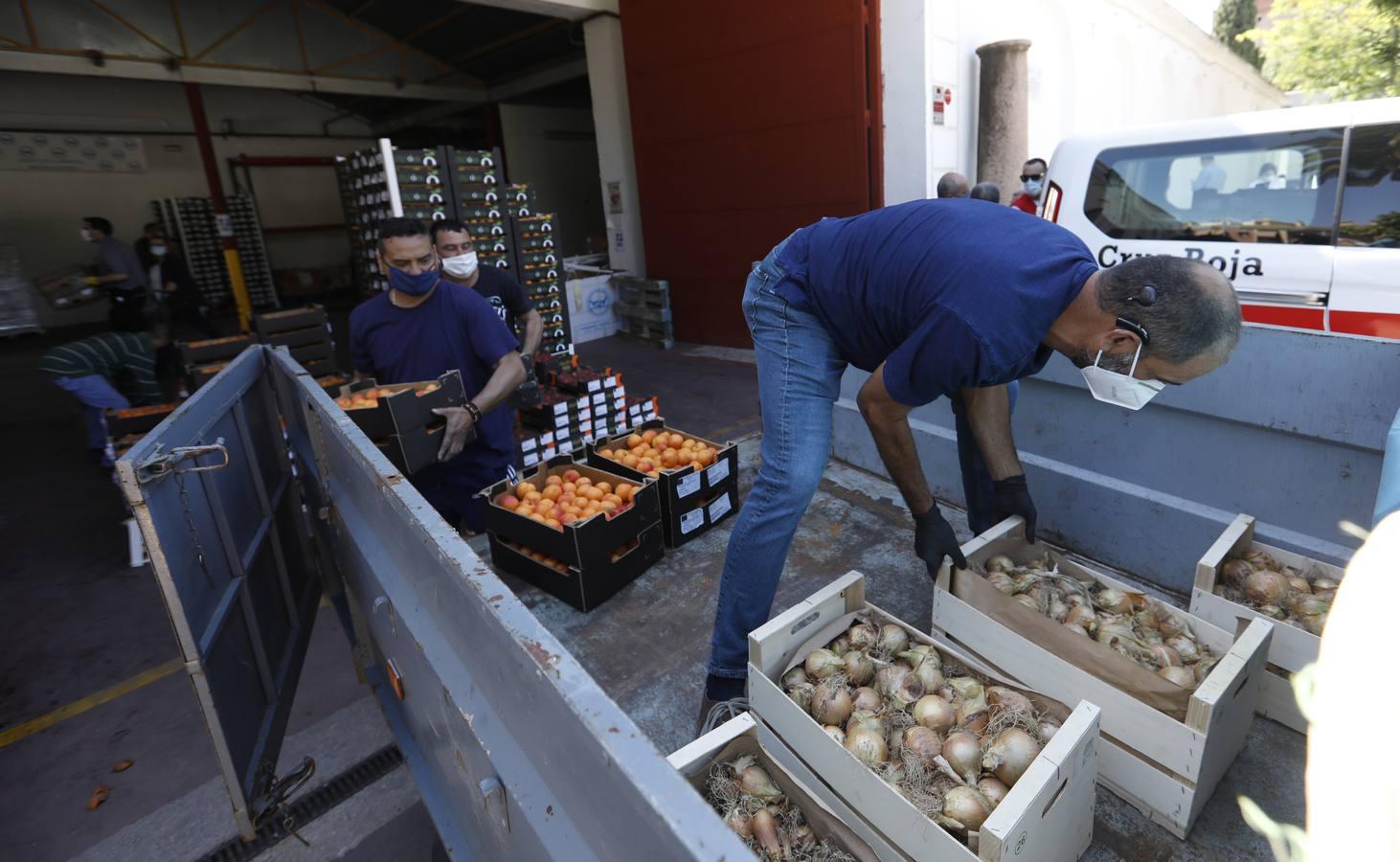 La donación de siete toneladas al Banco de Alimentos de Córdoba, en imágenes