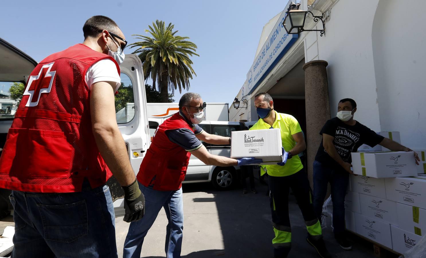 La donación de siete toneladas al Banco de Alimentos de Córdoba, en imágenes