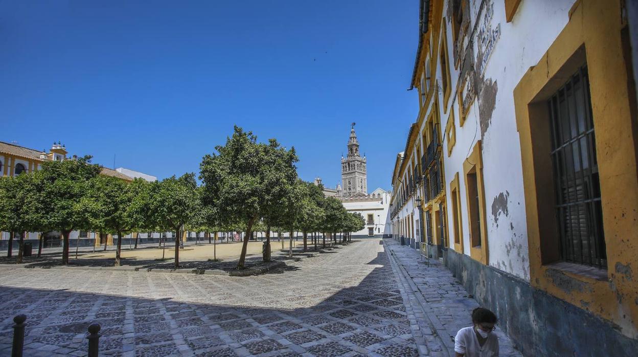 El mal estado del Patio de Banderas de Sevilla