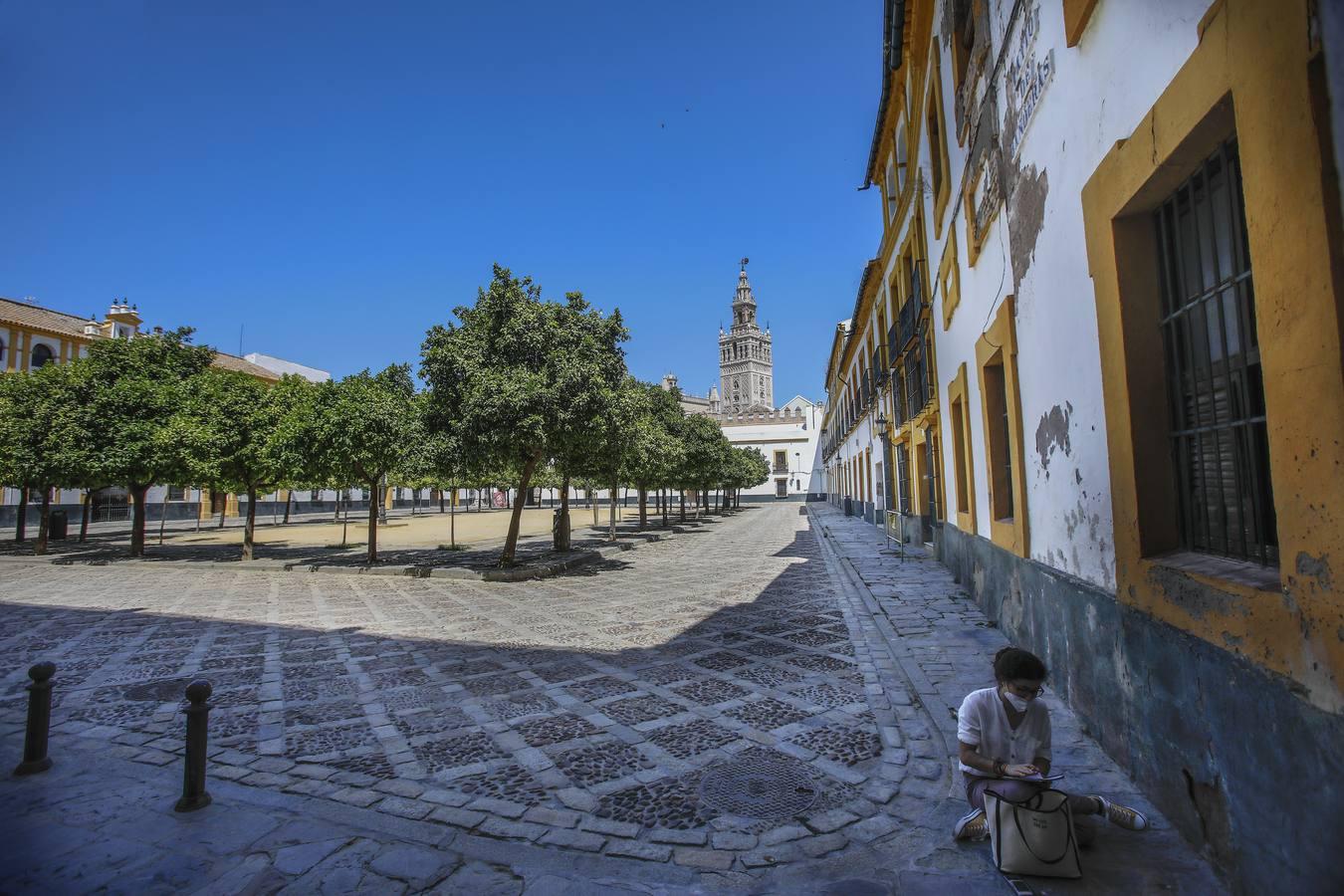 El mal estado del Patio de Banderas de Sevilla