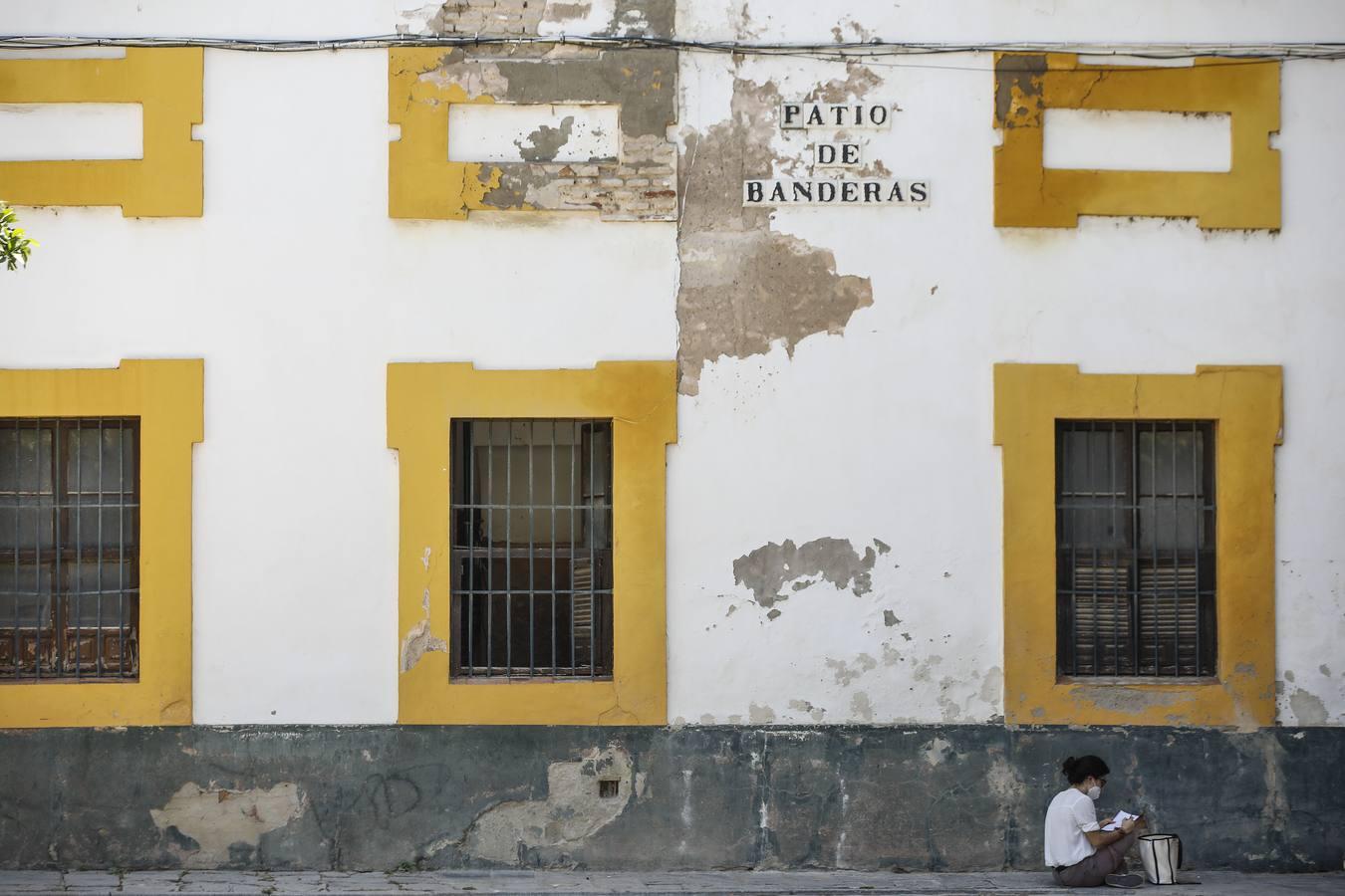 El mal estado del Patio de Banderas de Sevilla