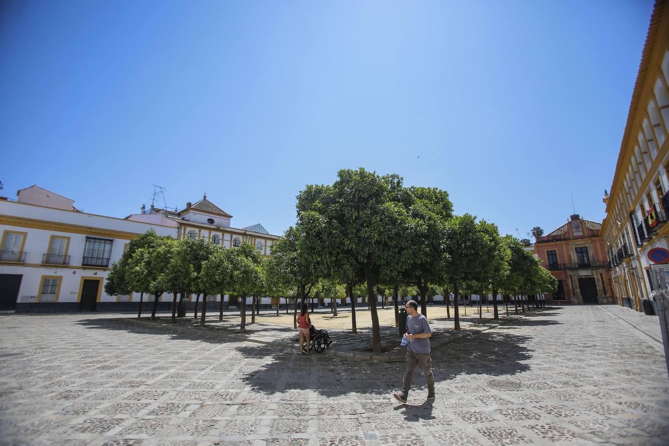 El mal estado del Patio de Banderas de Sevilla