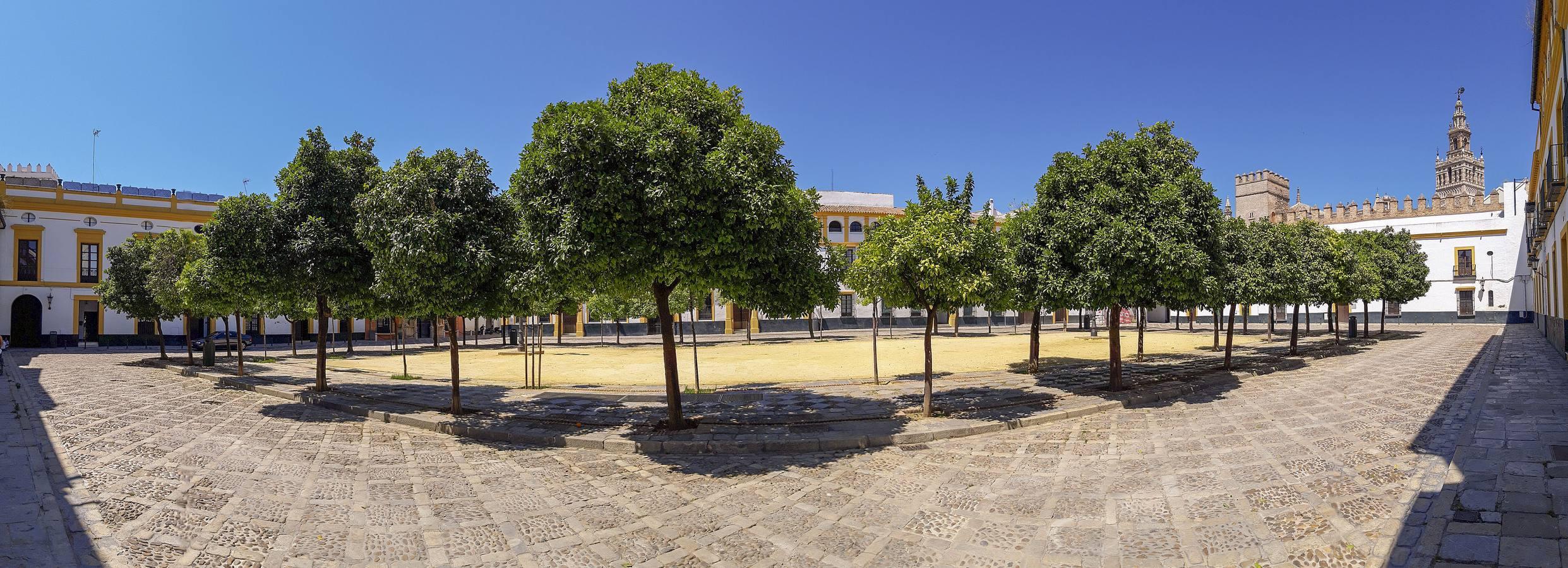 El mal estado del Patio de Banderas de Sevilla