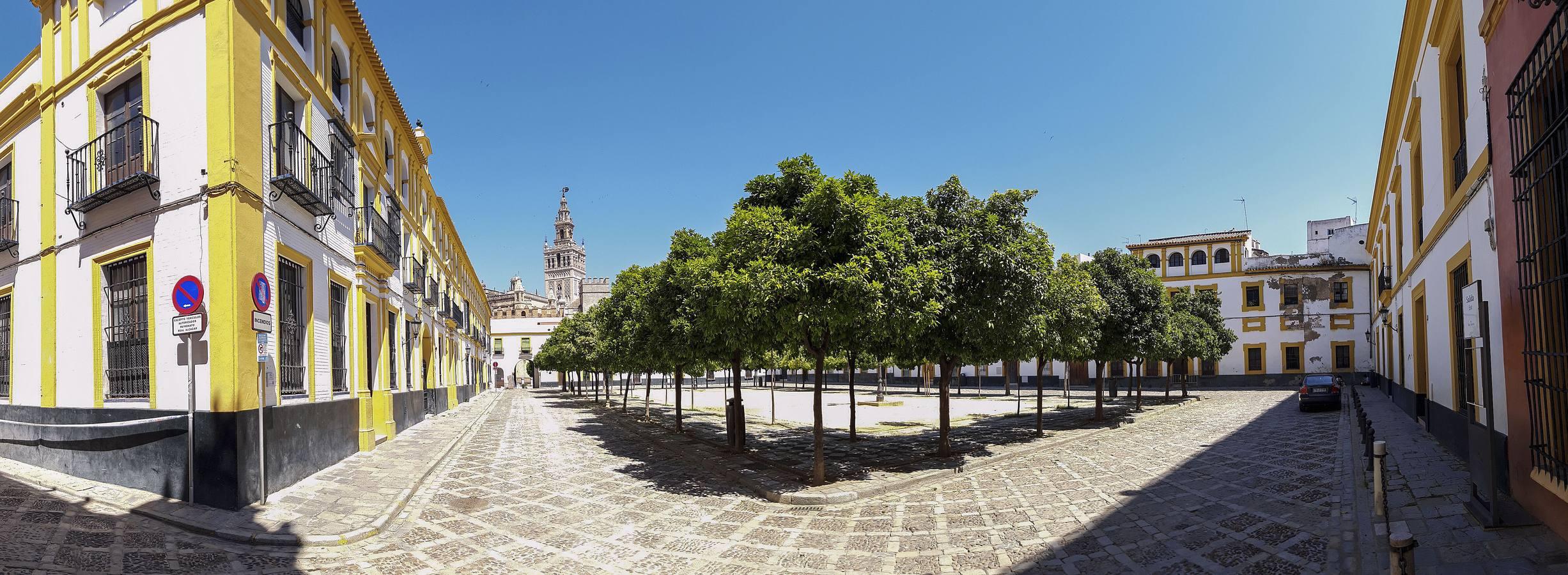 El mal estado del Patio de Banderas de Sevilla