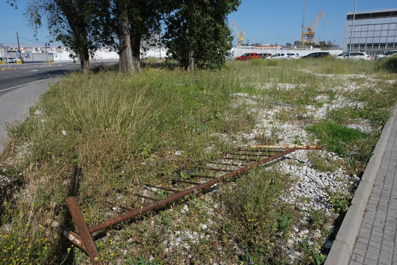 FOTOS: Falta de mantenimiento en los parques y jardines de Cádiz