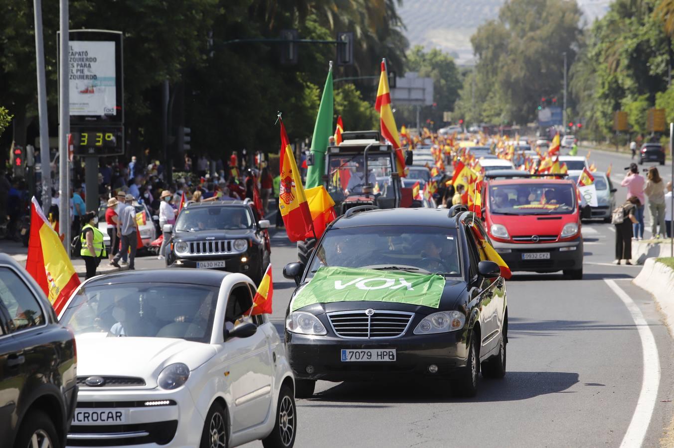 La marcha contra el Gobierno en Córdoba de Vox, en imágenes (I)