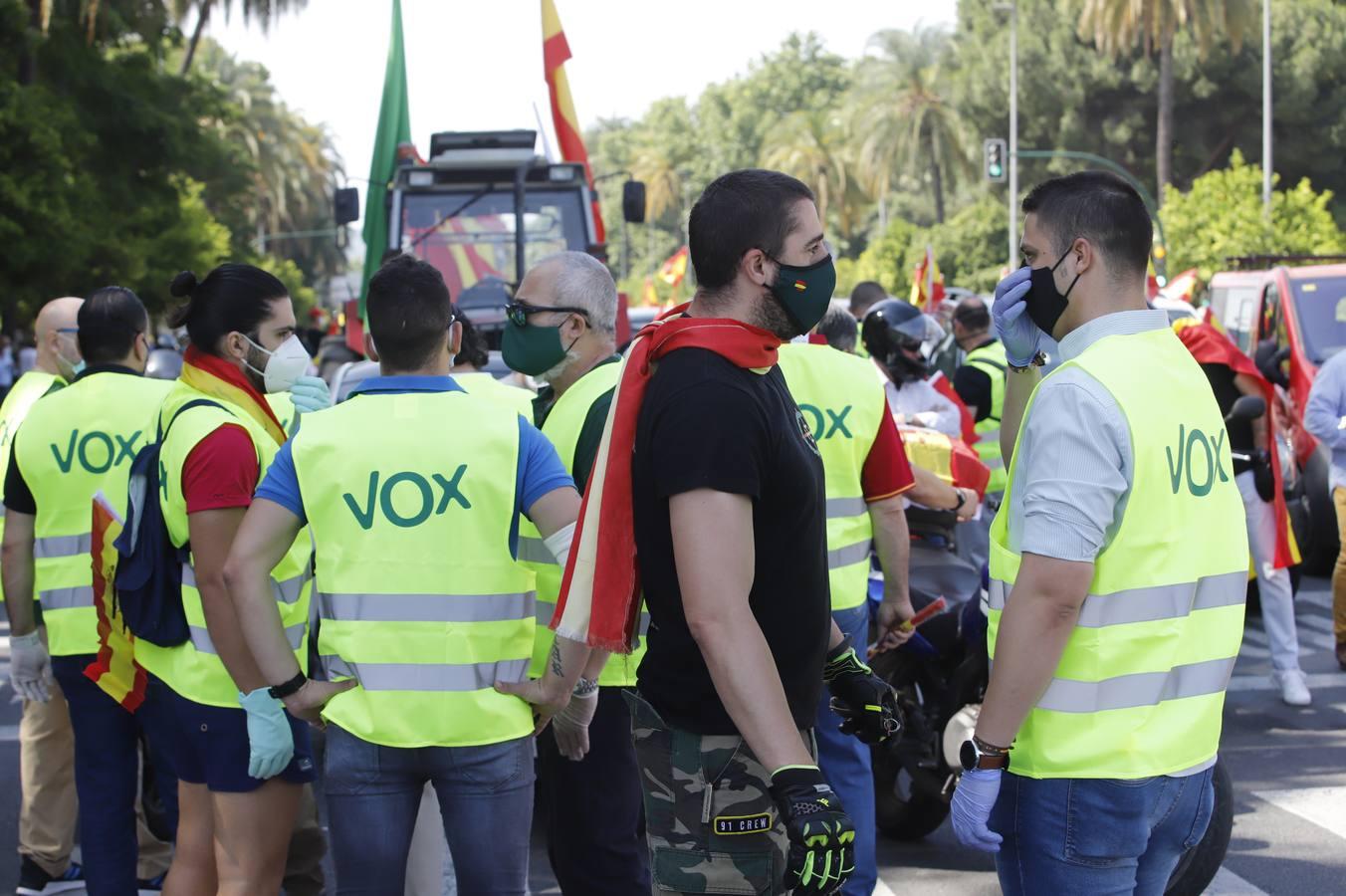 La marcha contra el Gobierno en Córdoba de Vox, en imágenes (I)