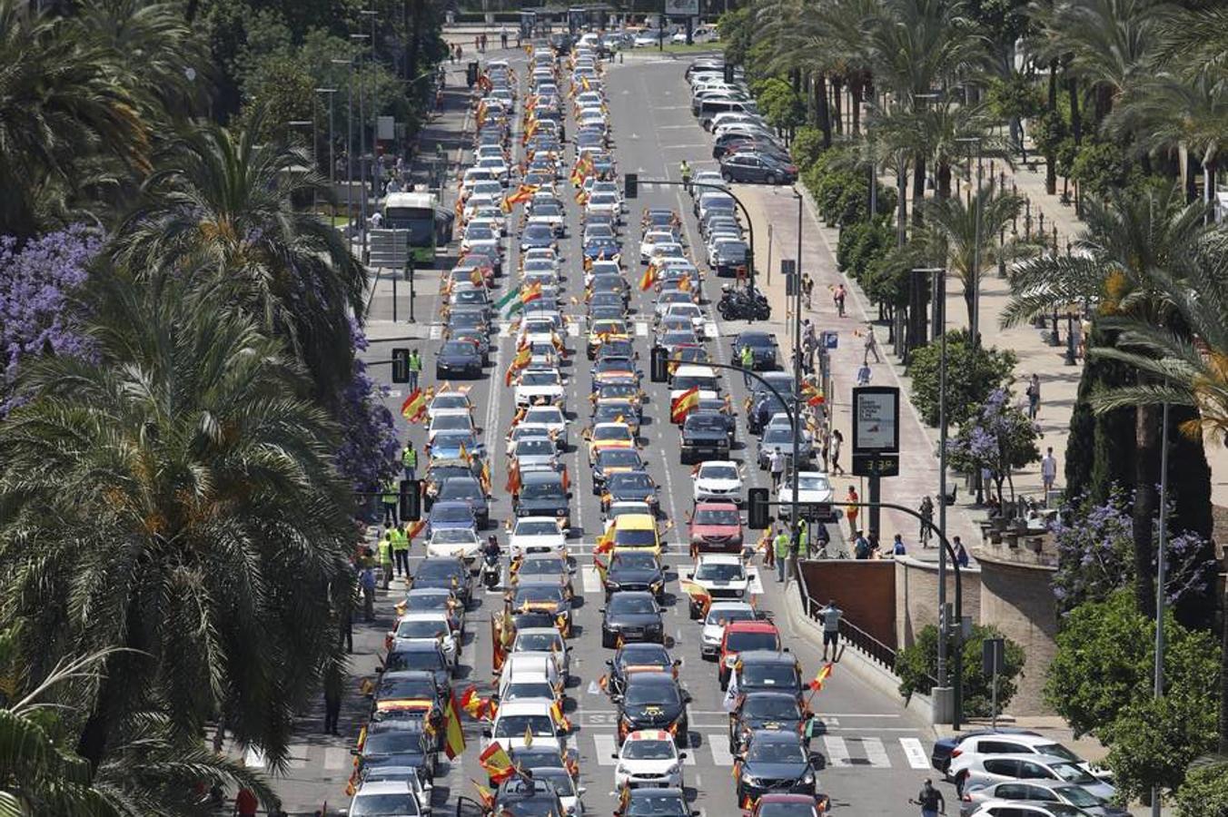 La marcha contra el Gobierno en Córdoba de Vox, en imágenes (I)