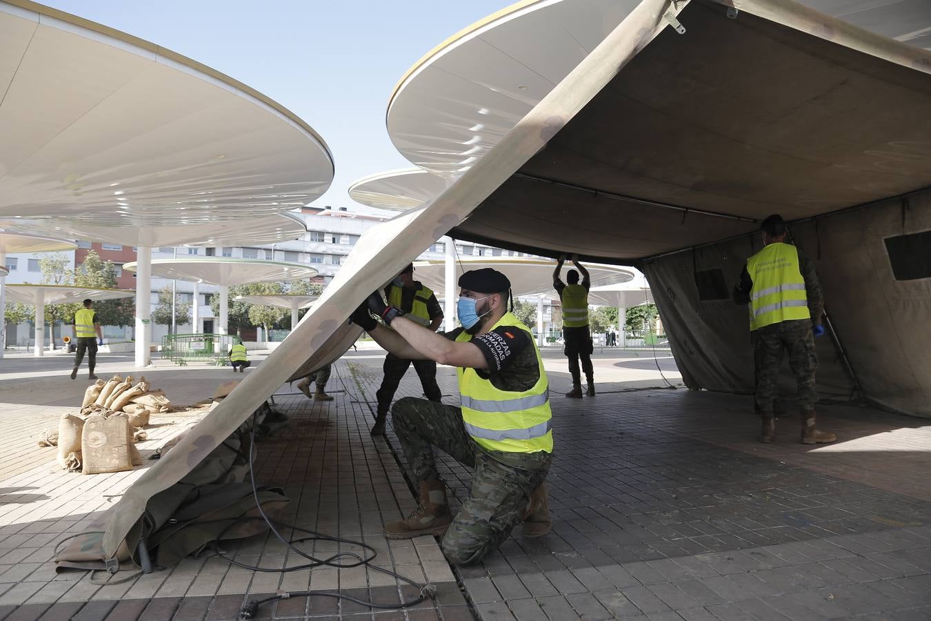 La retirada del dispositivo para los test en las Setas en Córdoba, en imágenes