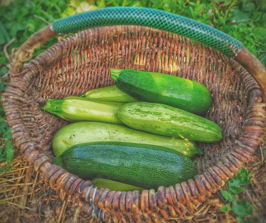 Calabacín. La temporada perfecta para consumir <a href="https://www.abc.es/bienestar/alimentacion/recetas-saludables/abci-ocho-recetas-faciles-calabacin-verdura-menos-calorias-202004210413_noticia.html" target="_blank">calabacín </a>es el verano porque necesita climas calurosos para crecer. Las flores de la planta también son comestibles y tienen un sabor muy delicado. Según datos de la Bedca, el calabacín es rico en calcio, potasio y fósforo.