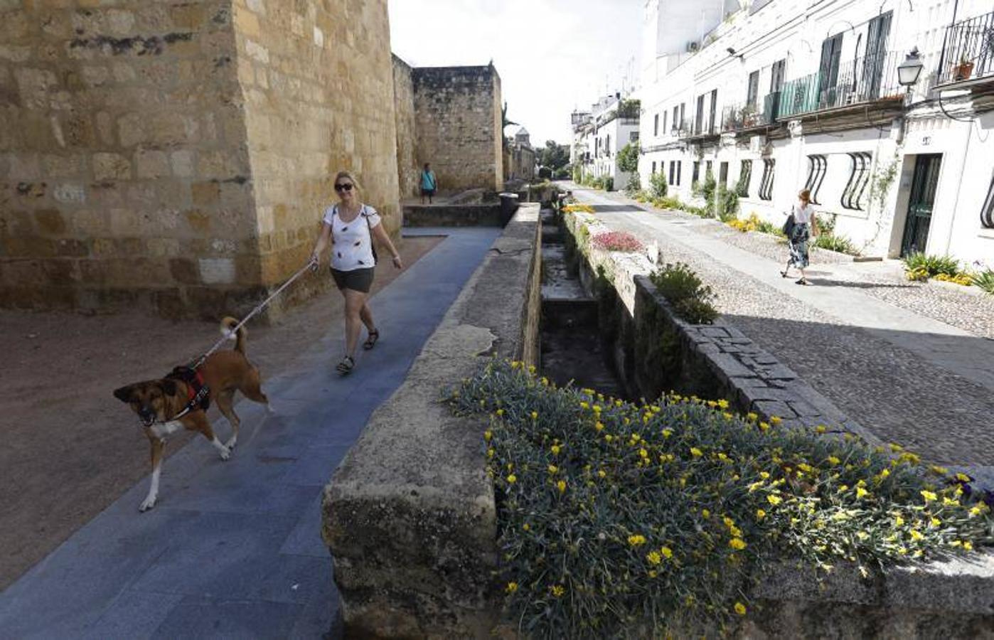 El foso y el entorno de la calle Cairuán de Córdoba, en imágenes