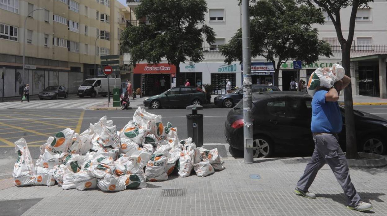 Cádiz, entre el trabajo y la playa