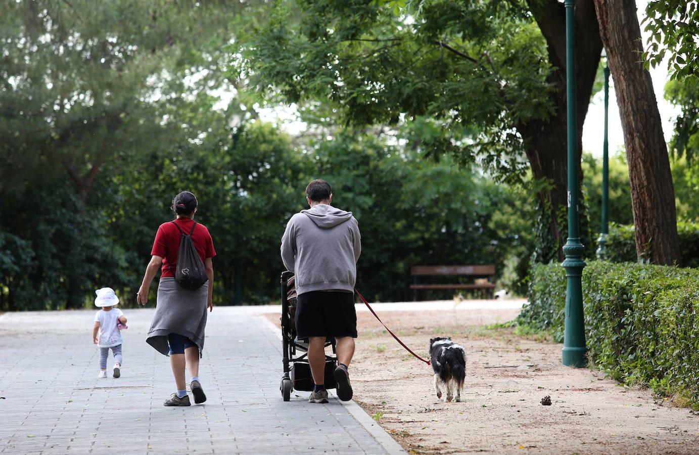 En imágenes: abren las escaleras mecánicas, el cementerio y la Vega