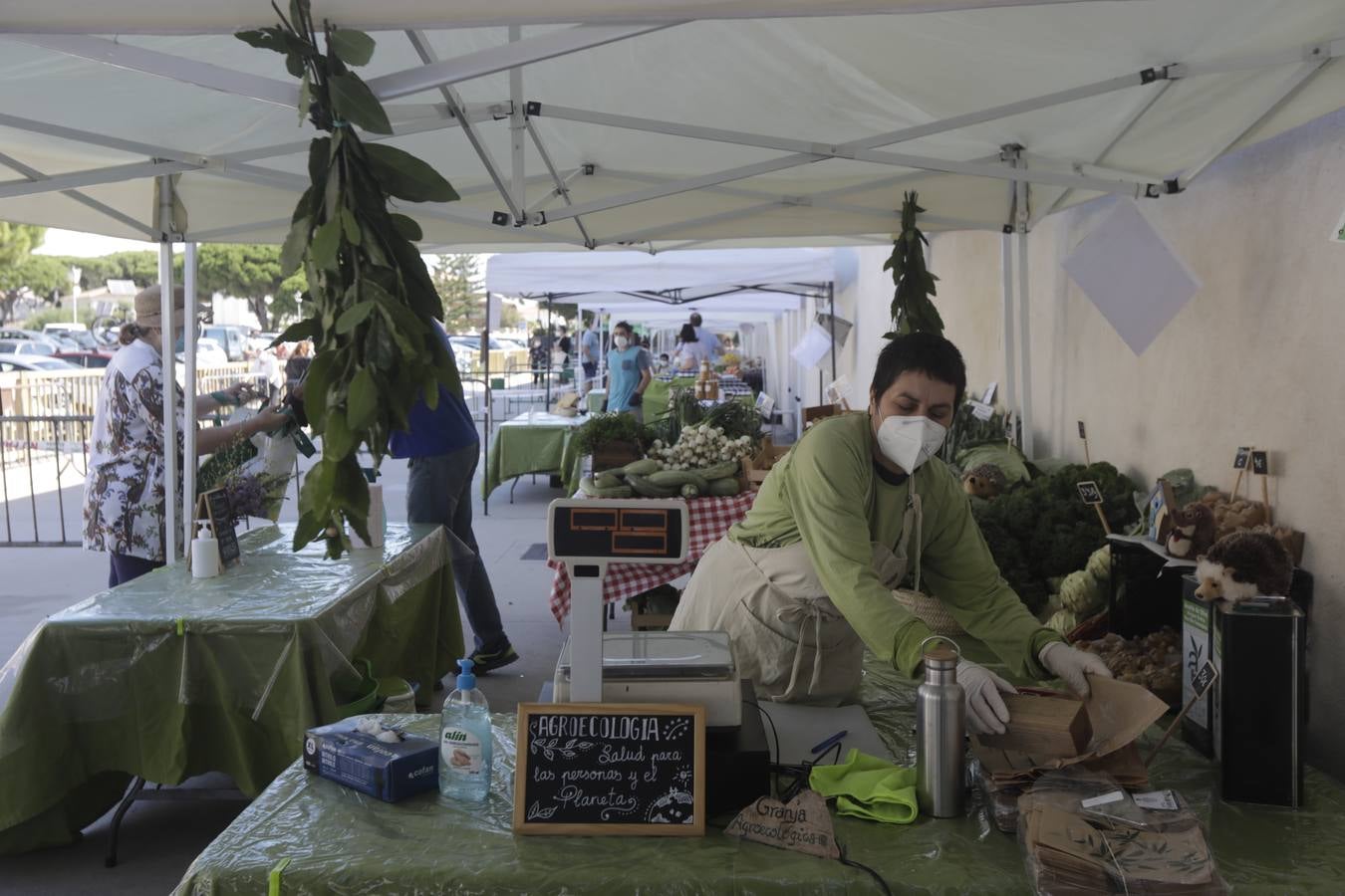 Reabre el mercadillo ecológico de Los Toruños con medidas de seguridad