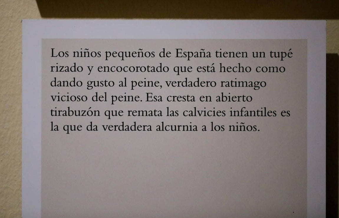 La exposición «Greguerías ilustradas», de ABC en Córdoba, en imágenes