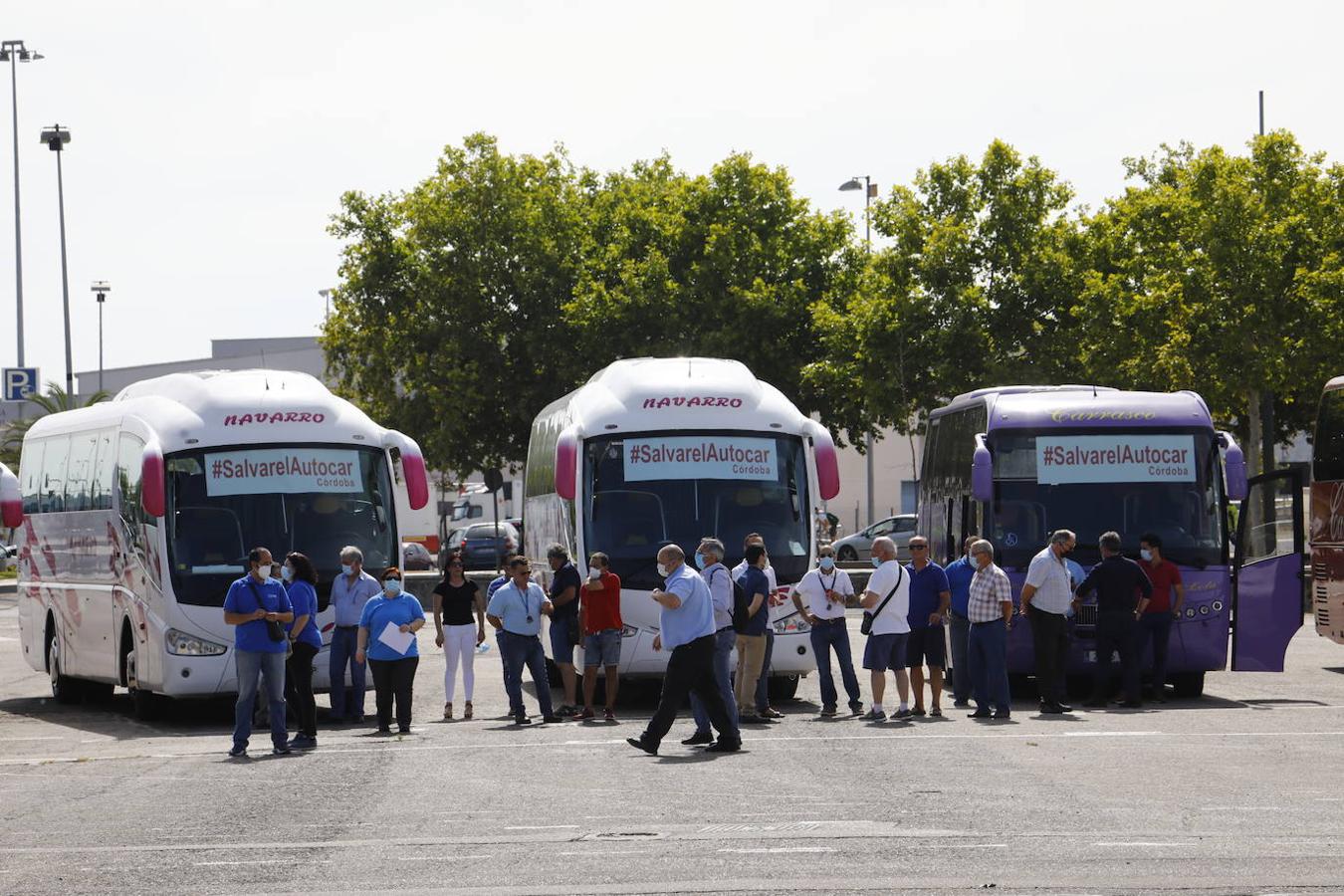 La caravana de autobuses de Córdoba, en imágenes