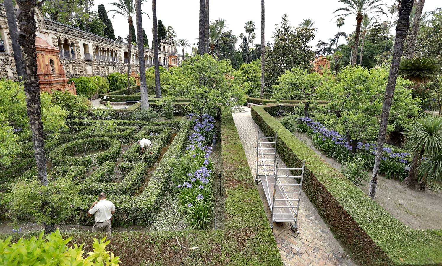 El Alcázar de Sevilla se prepara para la reapertura