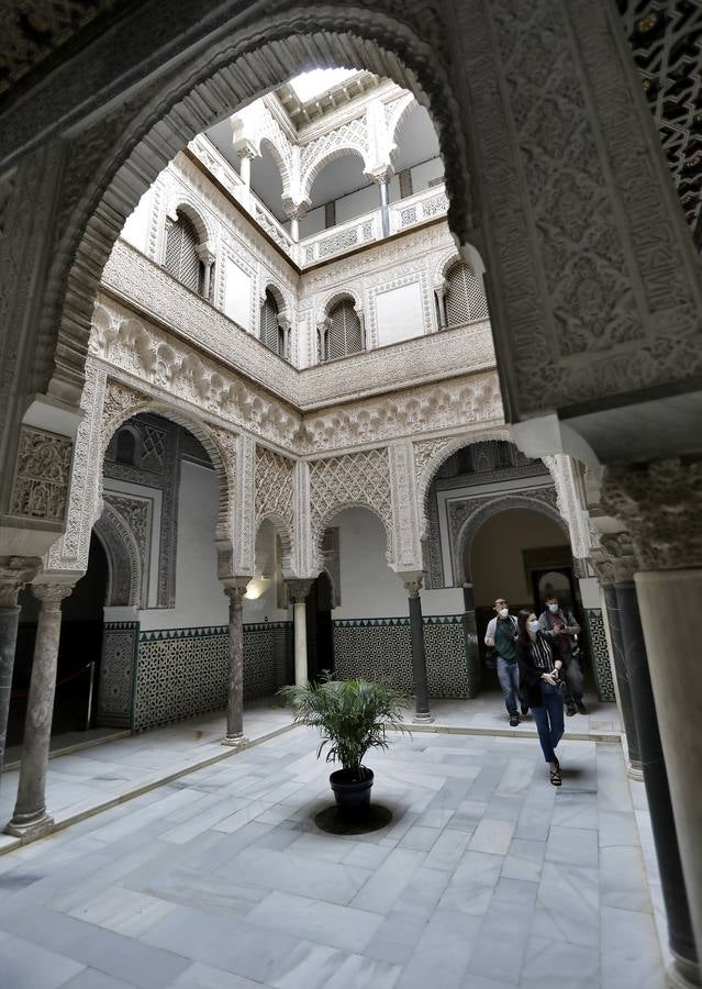 El Alcázar de Sevilla se prepara para la reapertura