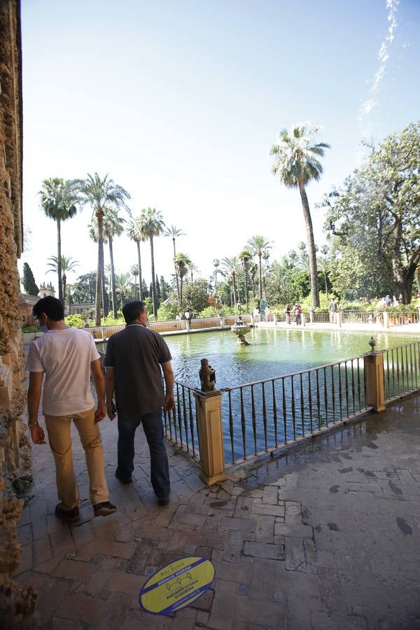 Las primeras visitas al Alcázar de Sevilla