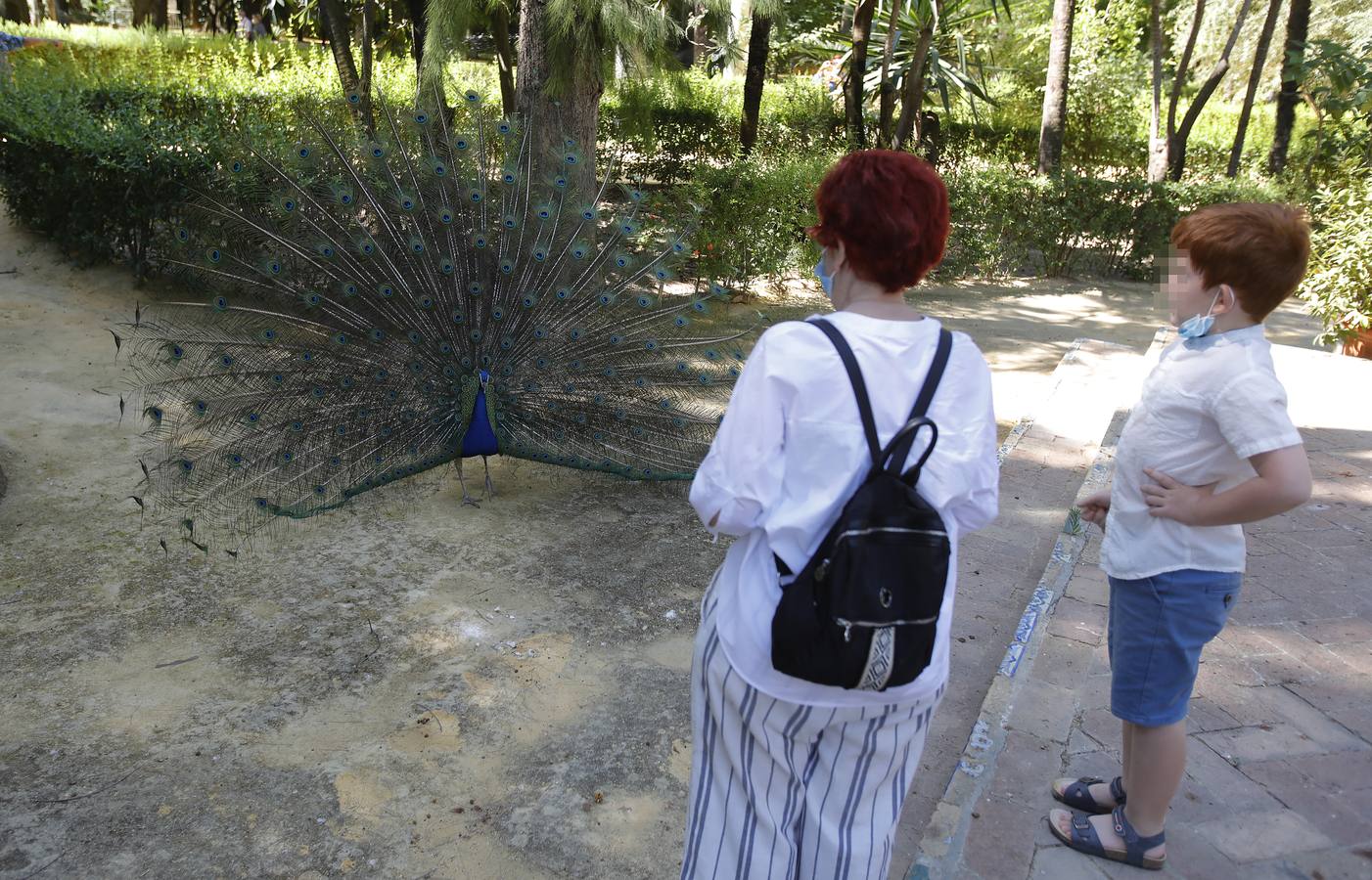 Las primeras visitas al Alcázar de Sevilla