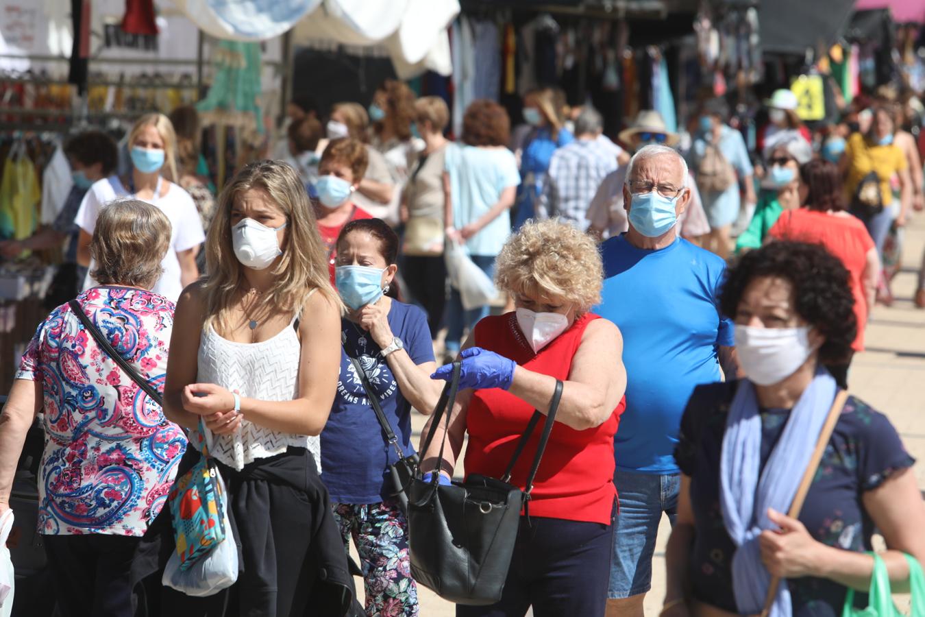 FOTOS: El piojito vuelve a ponerse en Cádiz después de tres meses