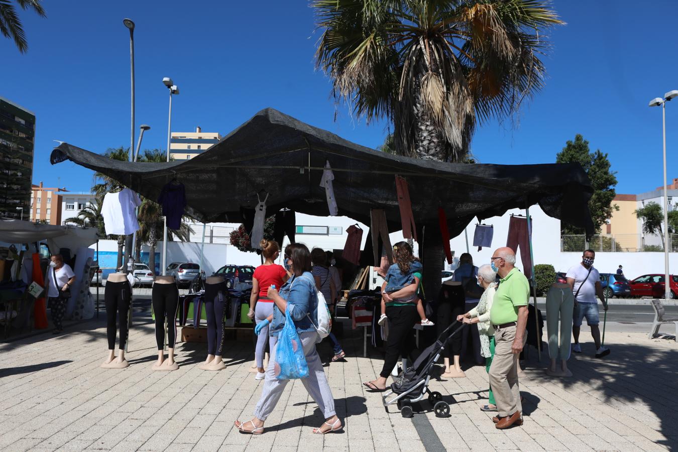 FOTOS: El piojito vuelve a ponerse en Cádiz después de tres meses