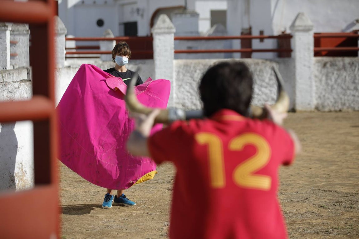 La Escuela Taurina de Sevilla retoma su actividad
