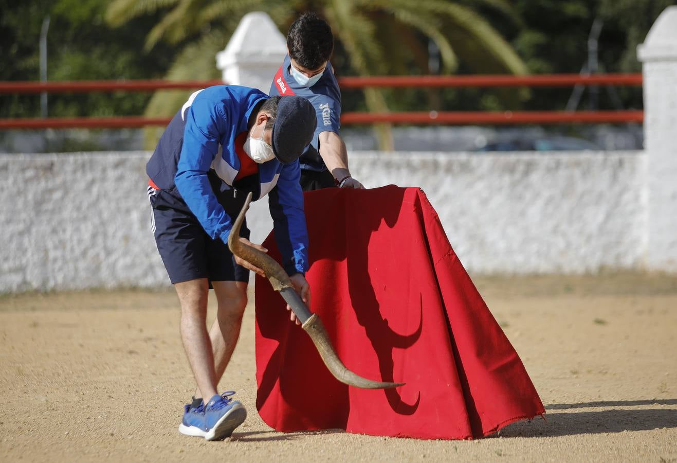 La Escuela Taurina de Sevilla retoma su actividad