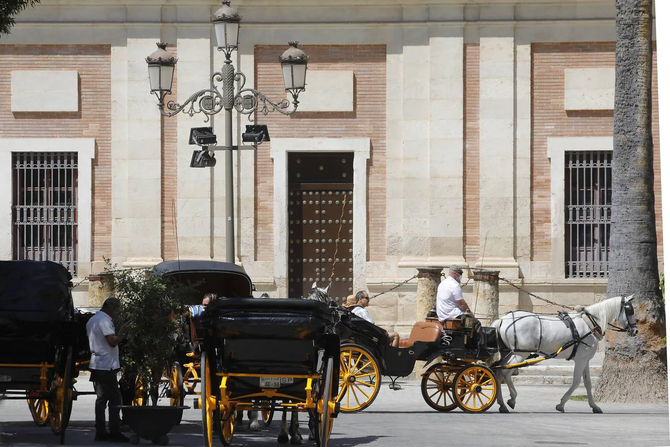 Los coches de caballos vuelven a las calles de Sevilla
