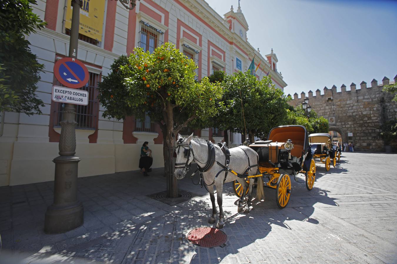 Los coches de caballos vuelven a las calles de Sevilla