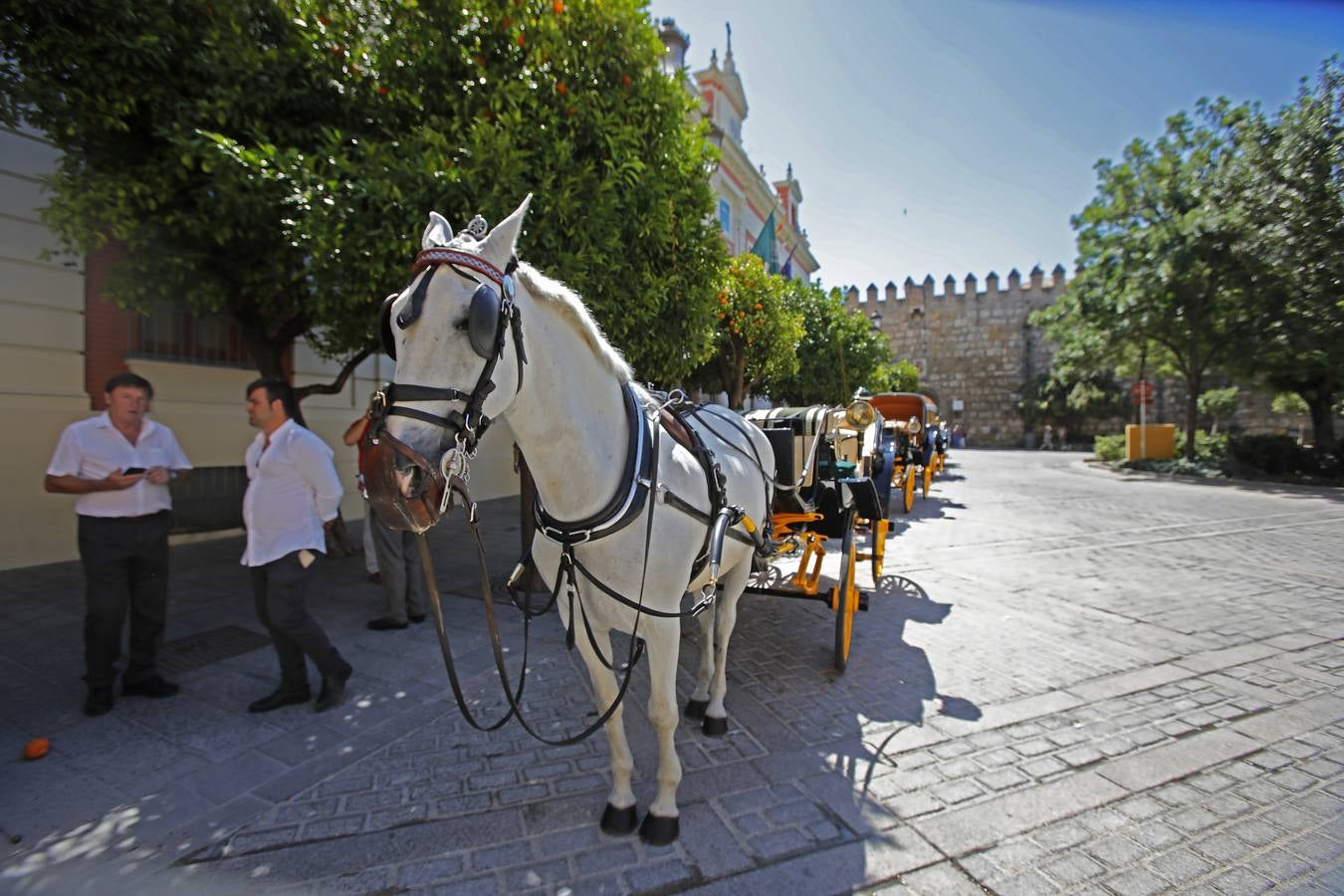 Los coches de caballos vuelven a las calles de Sevilla