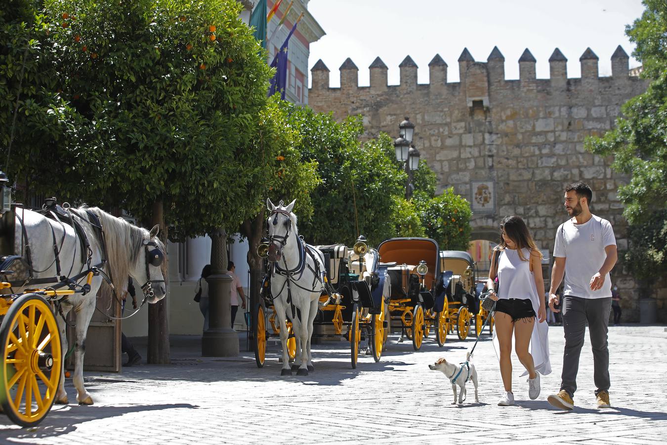 Los coches de caballos vuelven a las calles de Sevilla