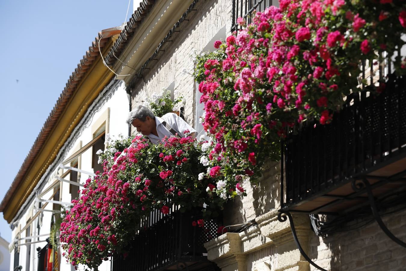 Los ganadores del concurso de Rejas y Balcones de Córdoba, en imágenes