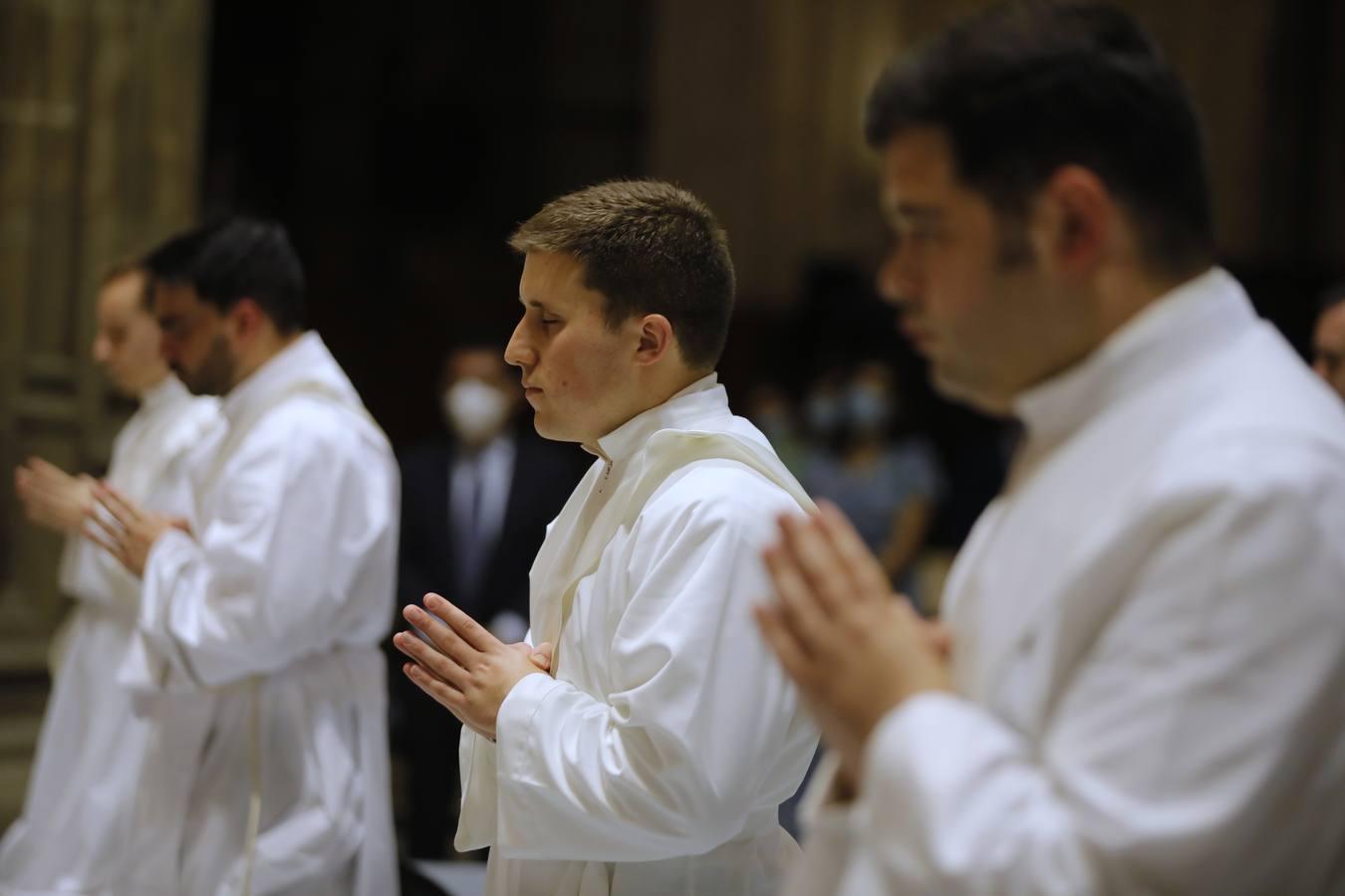 Siete nuevos sacerdotes para Sevilla