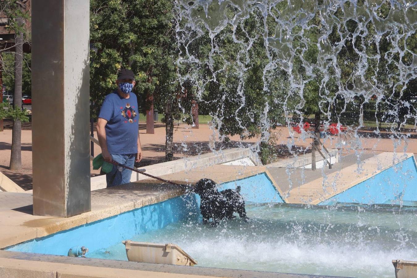 El tiempo en Córdoba: imágenes del primer día a 40 grados