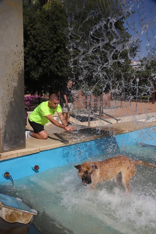 El tiempo en Córdoba: imágenes del primer día a 40 grados