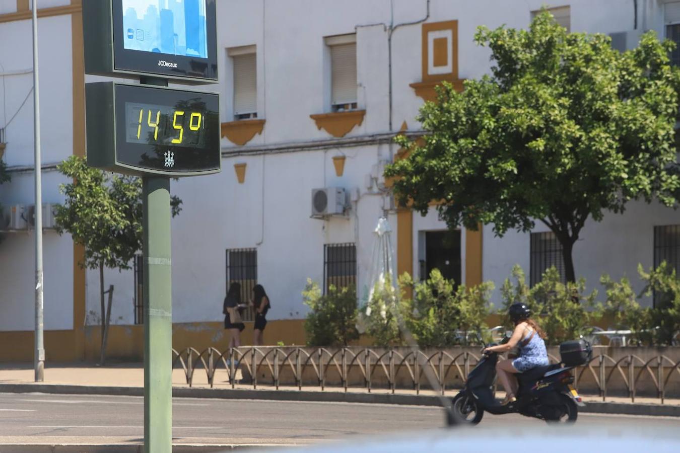 El tiempo en Córdoba: imágenes del primer día a 40 grados