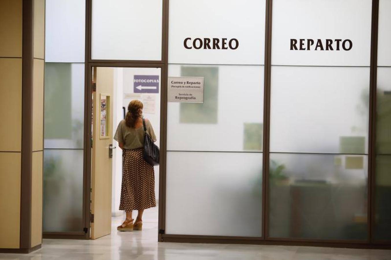 La vuelta de los trabajadores municipales al Ayuntamiento de Córdoba, en imágenes