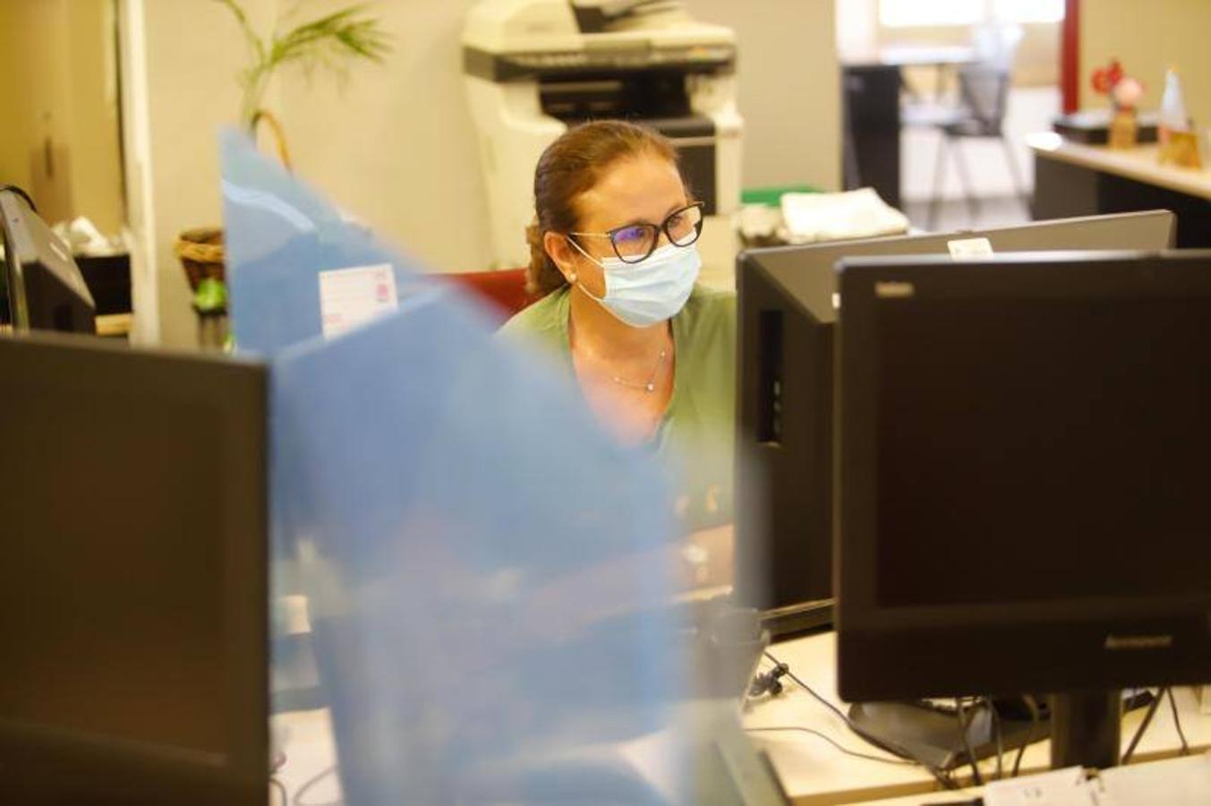 La vuelta de los trabajadores municipales al Ayuntamiento de Córdoba, en imágenes