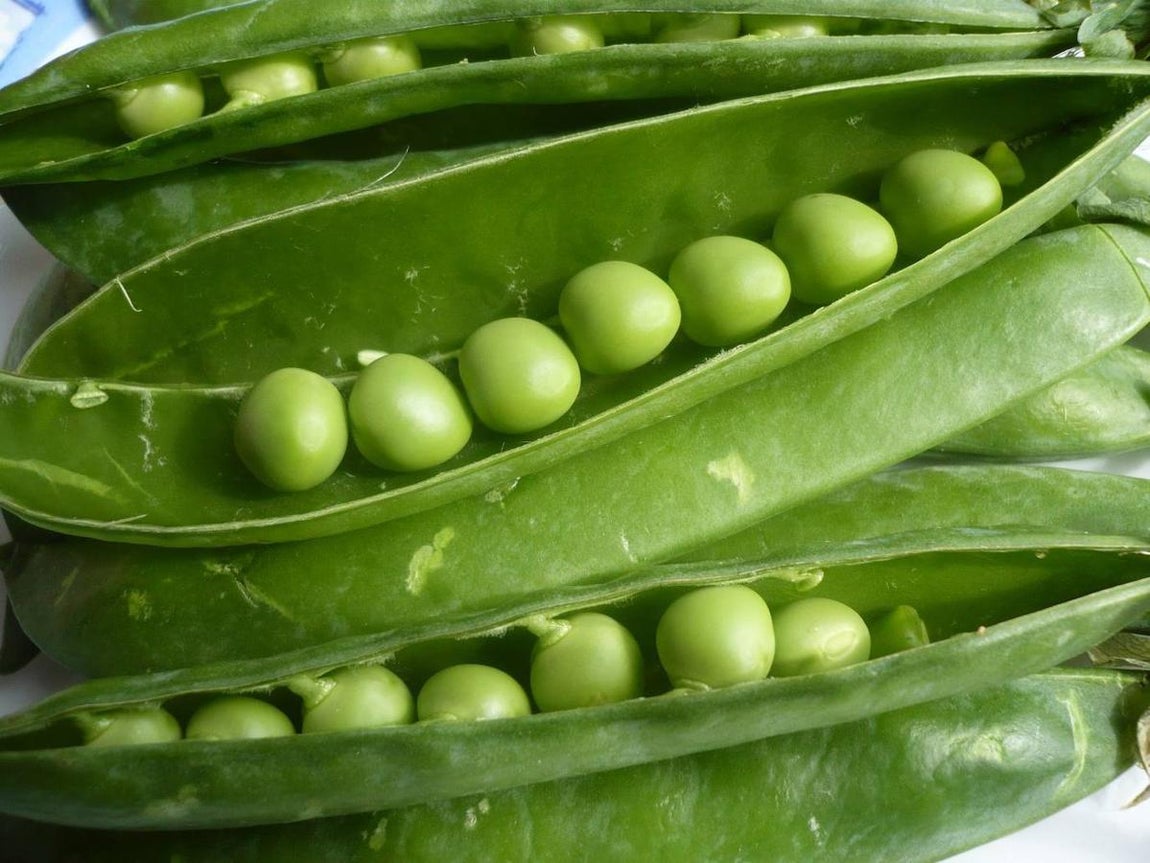 Guisantes. El selenio, el hierro y el cobre nos ayudan a protegernos frente al sol. Los tres, en unión con la vitamina E, hacen función de antioxidante, y controlan la pigmentación de la piel. Los <a href="https://www.abc.es/bienestar/alimentacion/abci-guisantes-202006020808_noticia.html">guisantes </a>son buen alimento para recoger estos beneficios, dado que en su composición encontramos un compendio de estos elementos.