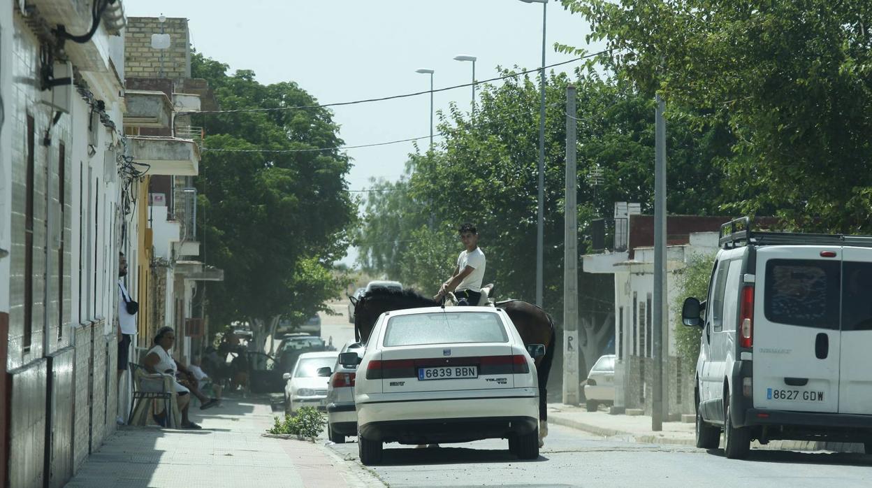 Cerro Blanco, el escenario de uno de los peores crímenes de Sevilla