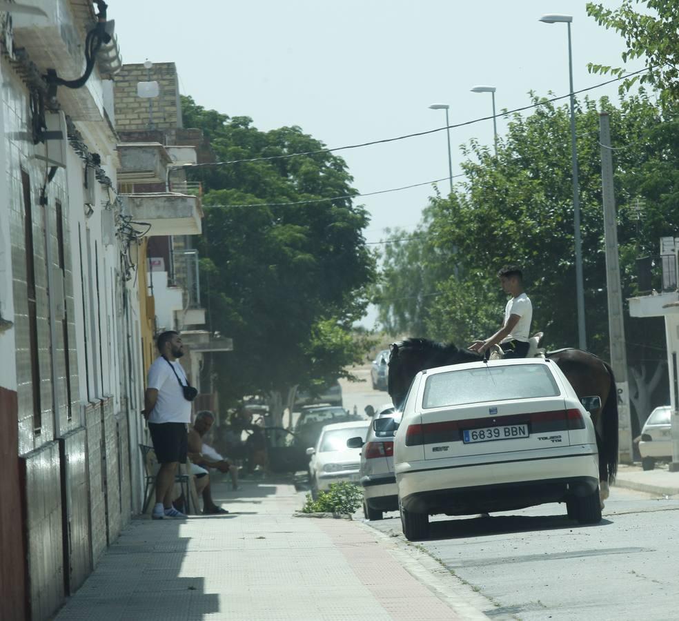 Cerro Blanco, el escenario de uno de los peores crímenes de Sevilla