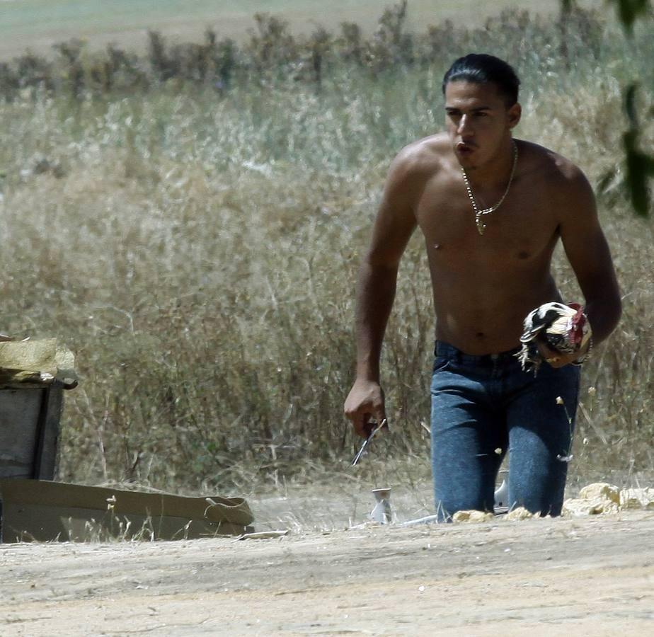 Cerro Blanco, el escenario de uno de los peores crímenes de Sevilla