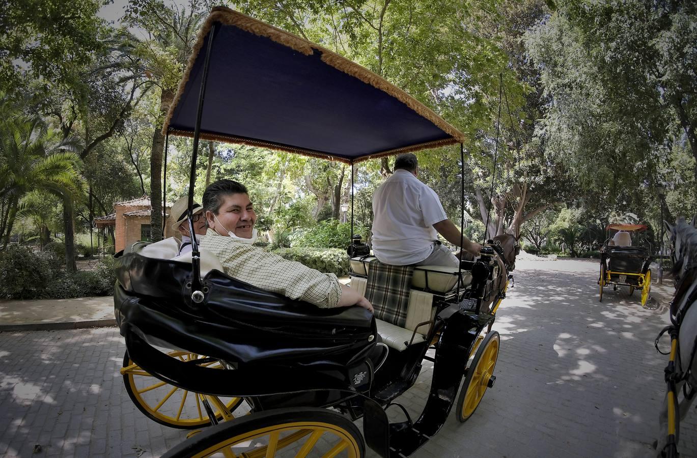 Un paseo solidario para los residentes del Hospital de la Caridad, en fotos