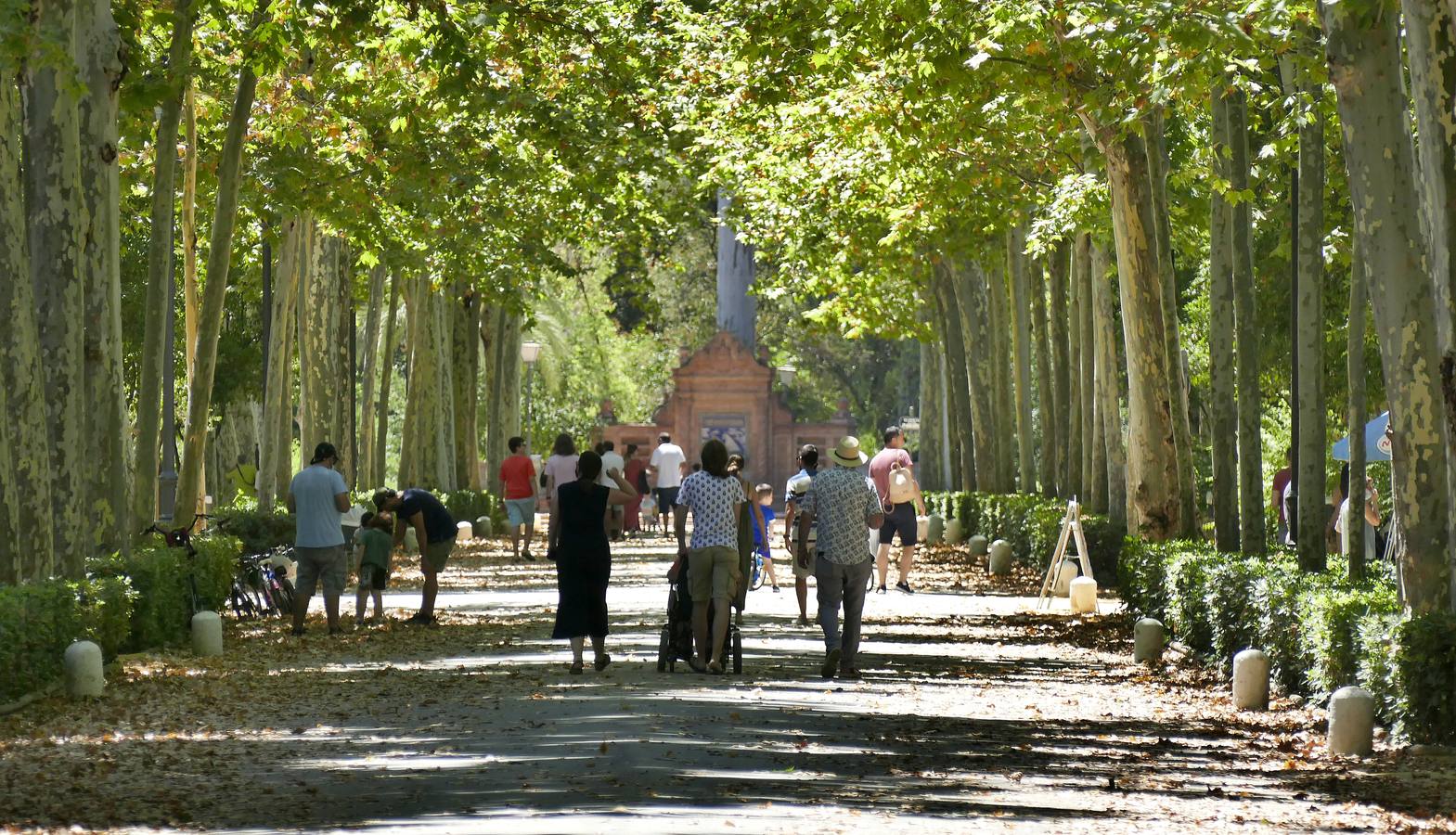 Pocos turistas en Sevilla por las altas temperaturas